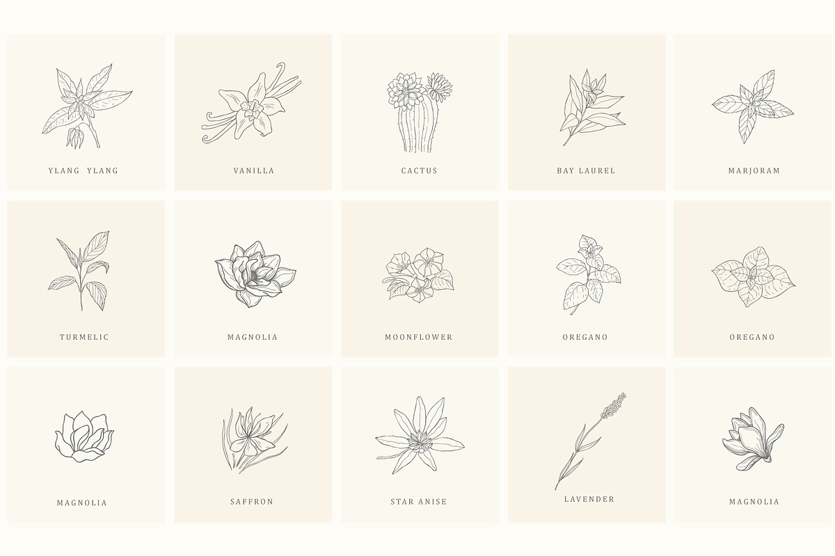 Botanical Hand Drawn Designs, Logos, a Seasonal Illustration by Designwork (Photo 13 of 22)