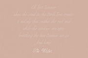 Handwritten Elegant Serif & Script, a Handwritten Font by Laras Wonderland (Thumbnail 3 of 16)
