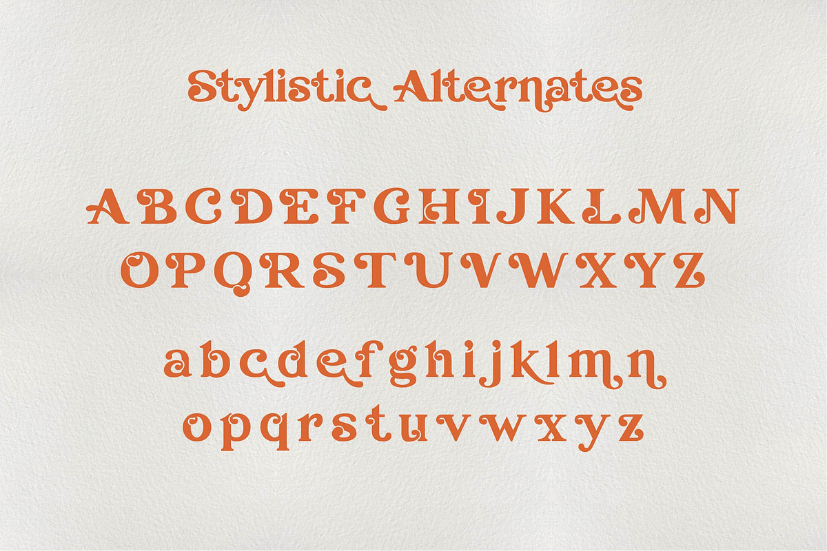 Mini font bundle + all bonus, a Font by Fractal fonts & graphics (Photo 26 of 32)