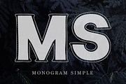 Monogram · 5 fonts · 20 frames, a Font by Red Ink (Thumbnail 7 of 14)