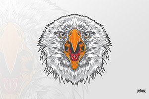 Fierce Eagle Head Vector