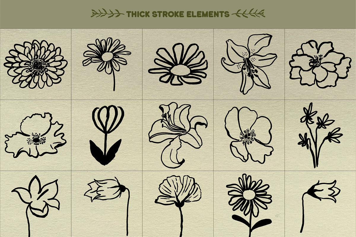 Botanical Vibes: 120 Floral Elements, an Object Illustration by Sheikhadesign (Photo 9 of 15)