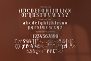 Grozery Stylish Serif Font, a Serif Font by Storytype Studio (Thumbnail 14 of 15)