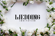 Audrey Font, a Serif Font by PutraCetol Studio (Thumbnail 4 of 10)