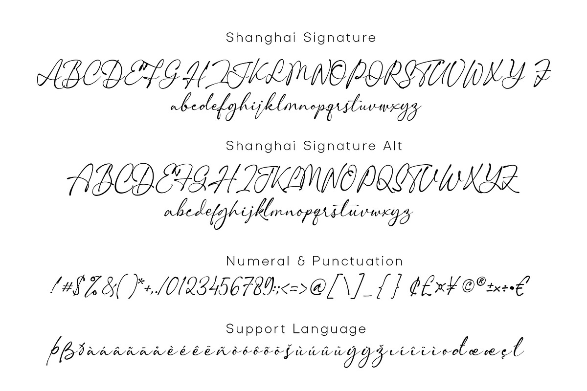 Shanghai Signature, a Script Font by Cititype (Photo 11 of 12)
