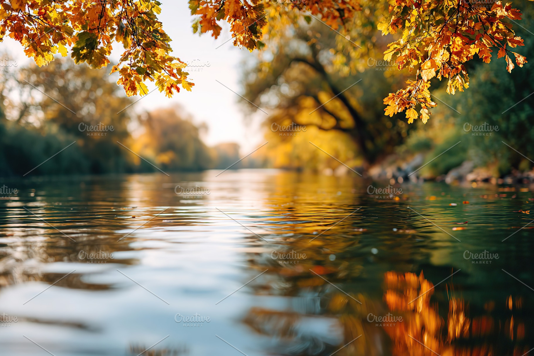 Colors of autumn leaves falling near a tranquil river reflects nature's beauty, a Nature Photo by AlyaAnd
