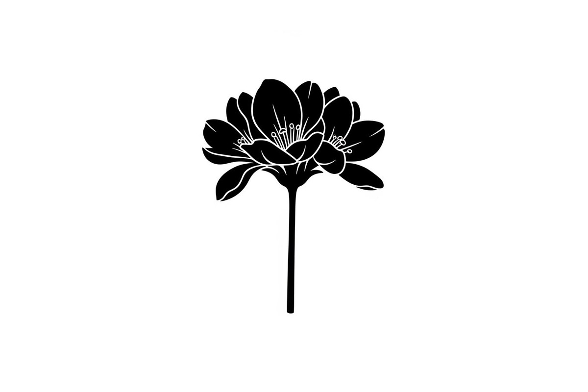 Floral Ornament Silhouette Bundle, an Illustration by BIPLOB EXPERT (Photo 10 of 51)