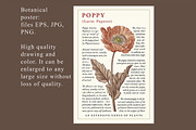 Seamless Set Flowers Poppy Poppies, a Pattern Graphic by Vintage (Thumbnail 3 of 11)