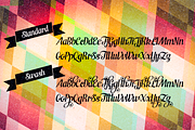 Scaramouche, a Script Font by Fenotype (Thumbnail 5 of 5)