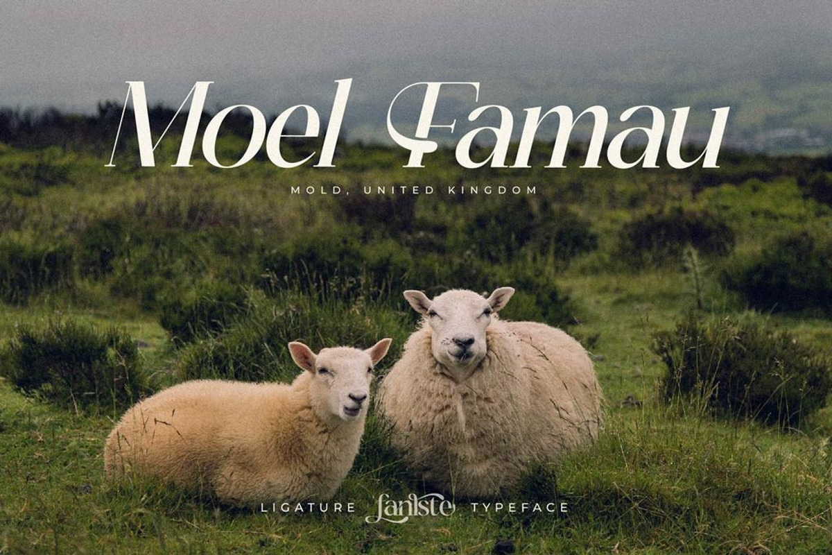 Fanlste Ligature Typeface Font, a Serif Font by Storytype Studio (Photo 3 of 13)