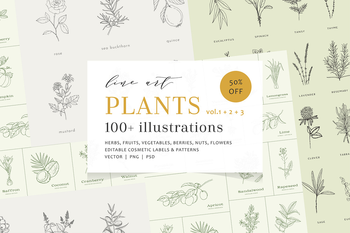 100+ plants bundle | vol. 1 + 2 + 3, an Illustration by Crocus Paperi (Photo 1 of 18)