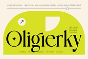 Oligierky Modern Editorial Serif, a Serif Font by timelesstype.co (Thumbnail 1 of 10)
