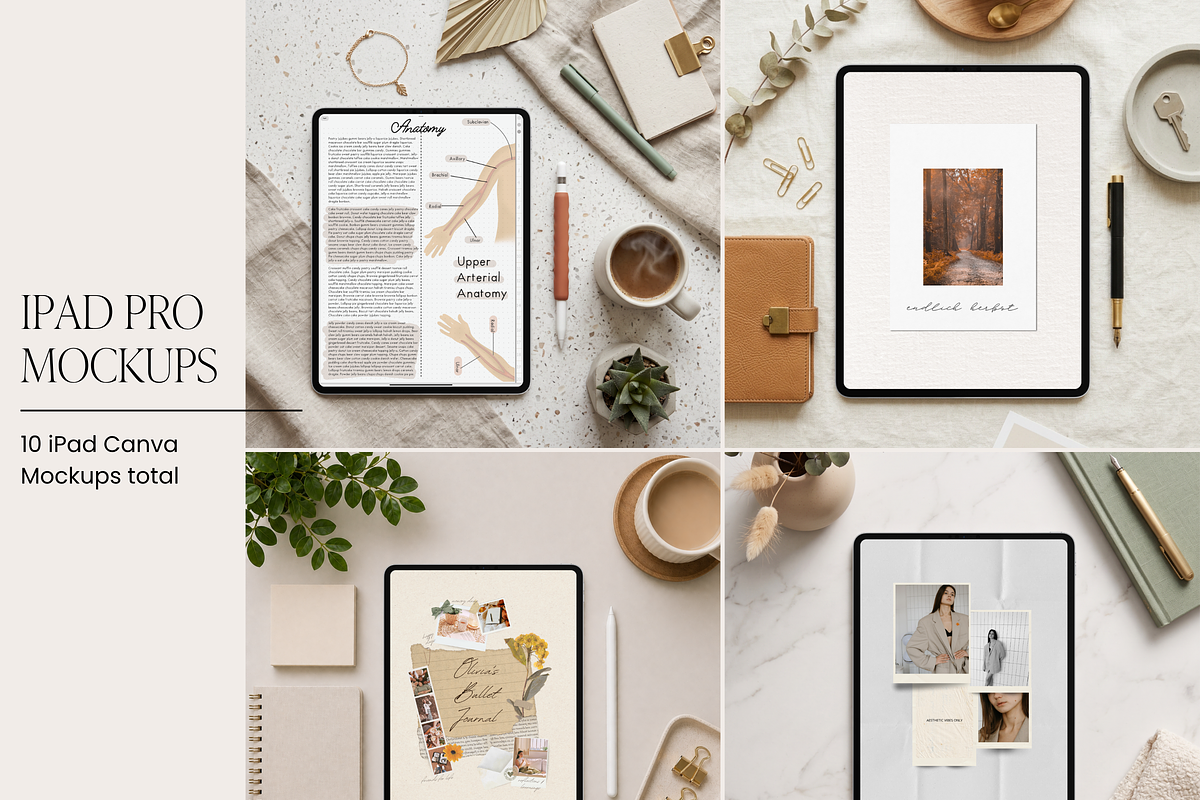 10 Canva iPad Mockups, an iPad Mockup by Asha Glenn Design Studio (Photo 2 of 9)