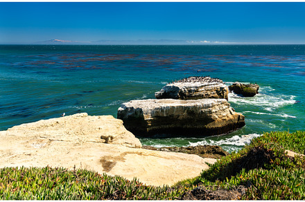 Coastal Cliffs with birds and blue, a Nature Photo by Leonid Andronov