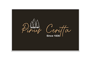 Mandalletta Script Font, a Script Font by Gookkis Studio (Thumbnail 2 of 7)