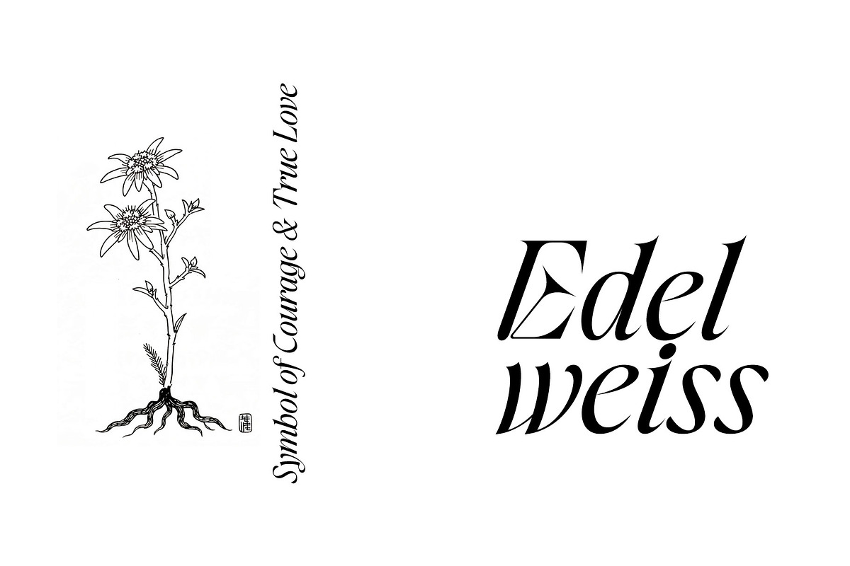 Amode Ethan Serif Font Family, a Serif Font by Ryul Davidson (Photo 19 of 20)