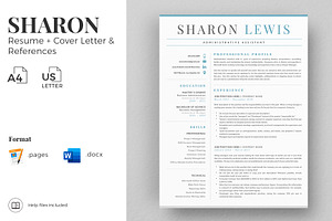 Professional Resume Format Example