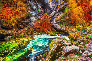 Vintgar gorge, Slovenia, a Nature Photo by Nature and travel