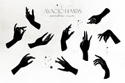 NOCTURNA Hidden Secrets Collection, a Decorative Illustration by Muse Artist (Thumbnail 13 of 47)