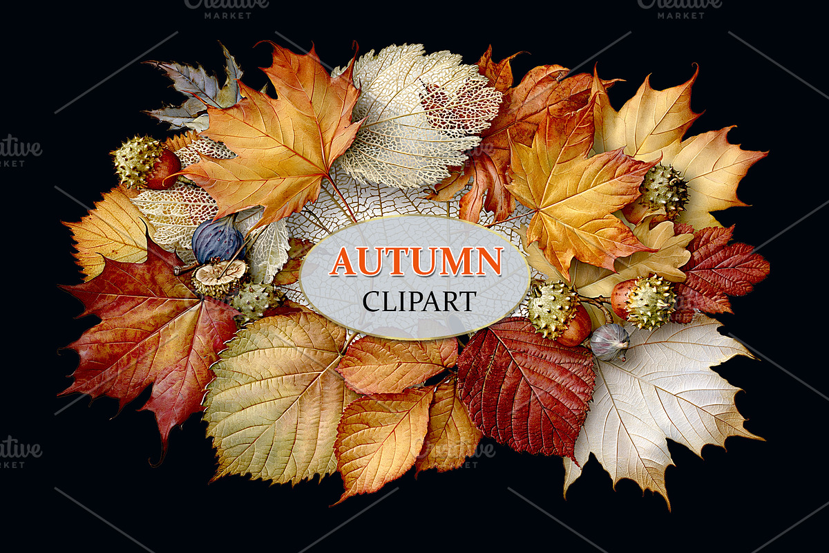 Luxury Clipart Autumn Leaves Wreath, a Decorative Illustration by Area (Photo 7 of 40)