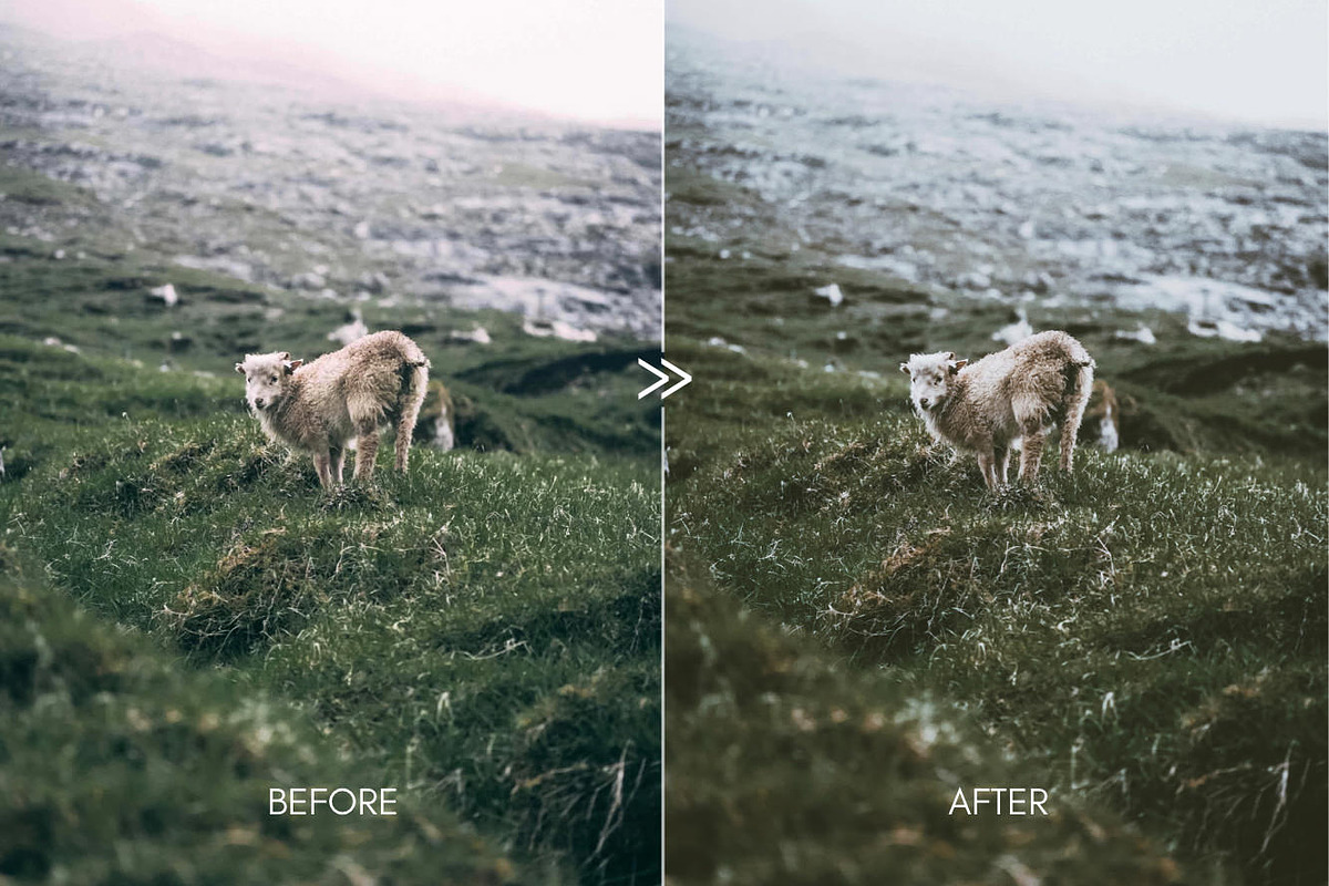 Moody Matte Outdoor Travel Presets, an Action Add-On by CityTurtles (Photo 9 of 13)