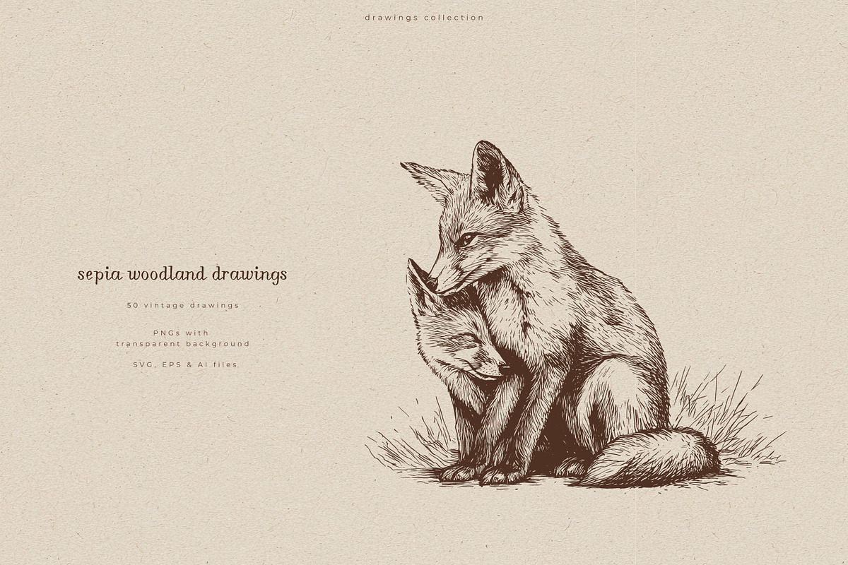 Sepia Woodland Drawings, an Animal Illustration by PeDe Designs (Photo 9 of 15)