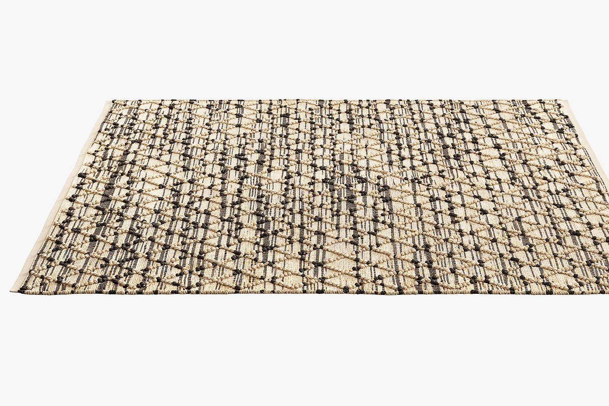 Joybird Demi Rug, a Furniture 3D Model by 3dmitruk (Photo 3 of 15)
