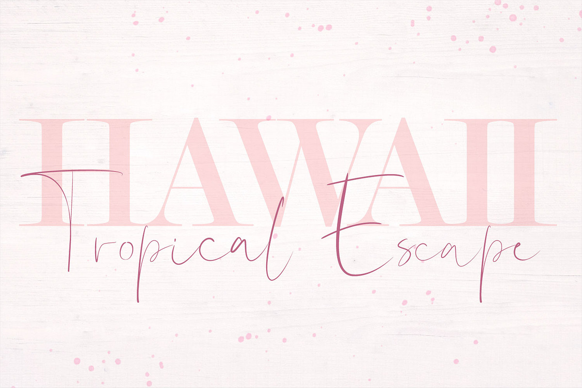 Shallou Signature Script Typeface, a Script Font by Drifter Studio (Photo 9 of 9)