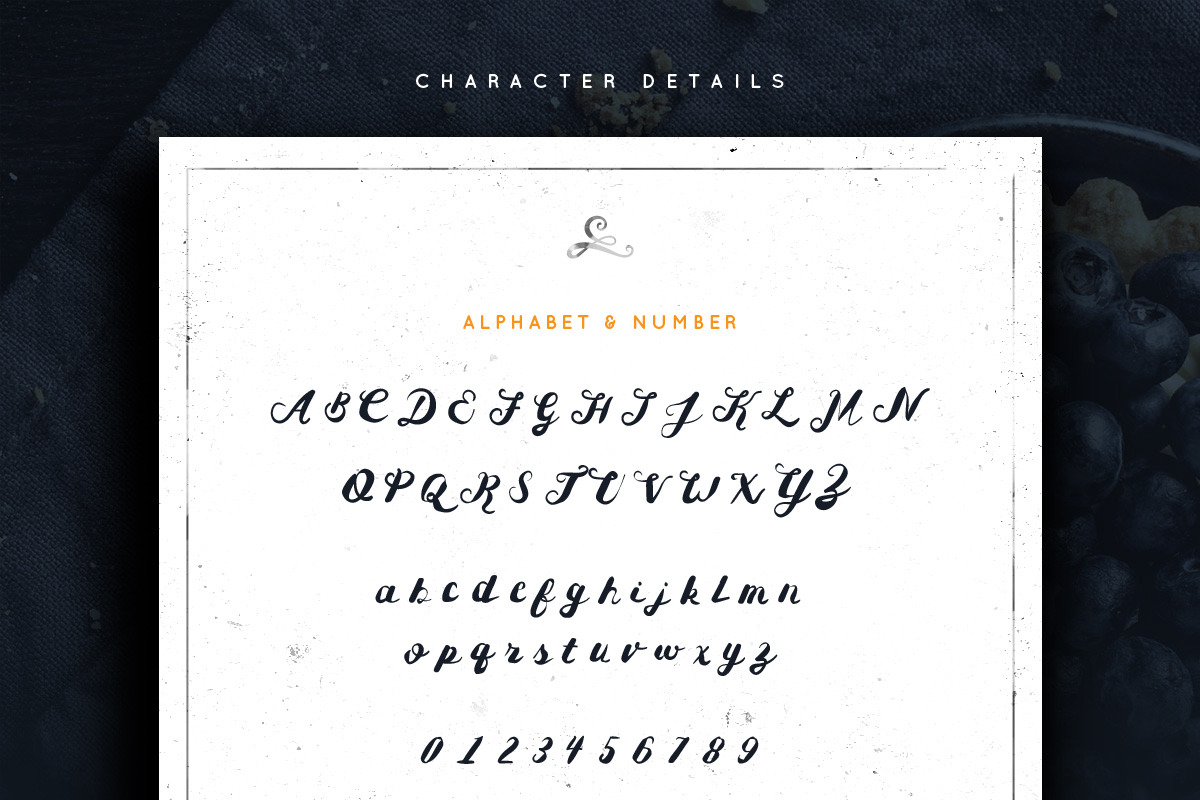 Heiger Script + Bonus Vector preview 2