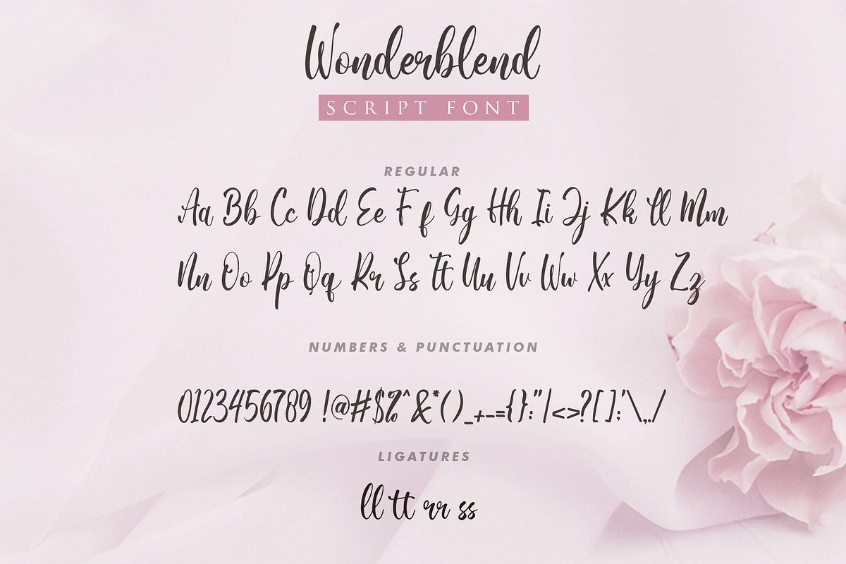 Wonderblend preview 7