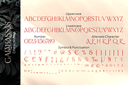 Calabassas Fresh Modern Serif, a Serif Font by Vampstudio (Thumbnail 12 of 13)