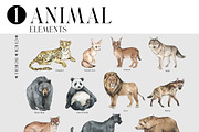 ANIMALS World Encyclopedia, an Animal Illustration by Anastezia Luneva (Thumbnail 4 of 14)