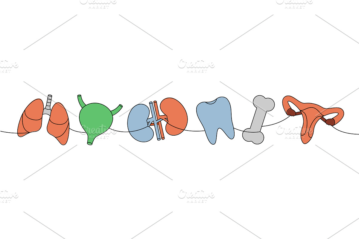 Set of human organ one line colored, an Object Illustration by GraphiShop