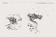 Vintage Nature Landscape Collection, a Seasonal Illustration by TheMountBirdStudio (Thumbnail 7 of 17)