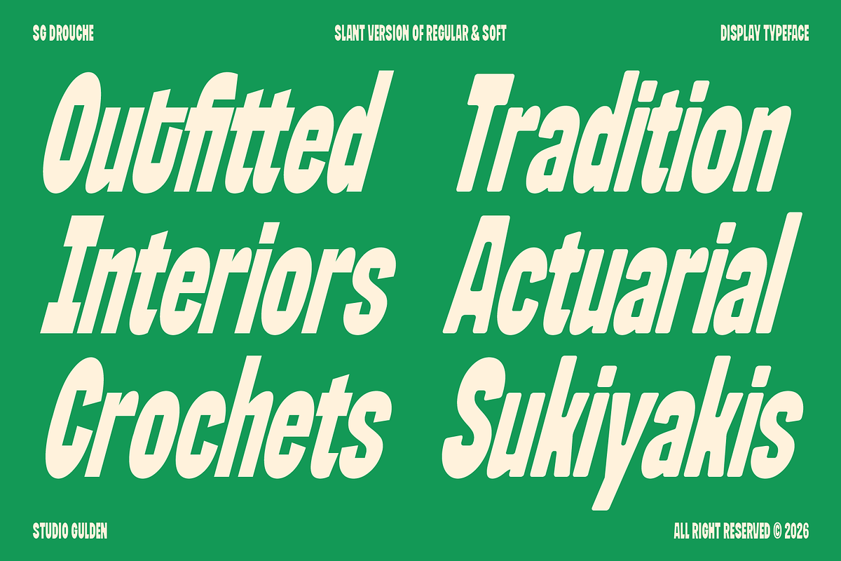 SG Drouche, a Sans Serif Font by Studio Gulden (Photo 9 of 11)