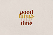 UPDATE: Rylan Modern Serif + Extras, a Serif Font by Jen Wagner Co (Thumbnail 5 of 18)