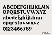 BT Blindern, a Serif Font by BadType (Thumbnail 4 of 9)