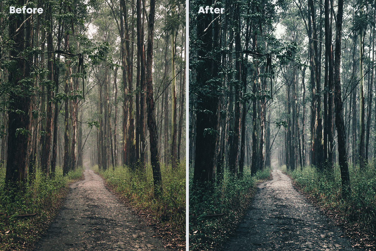 Hollywood LUTs pack, a Plug-in Add-On by Maple Visuals (Photo 3 of 8)