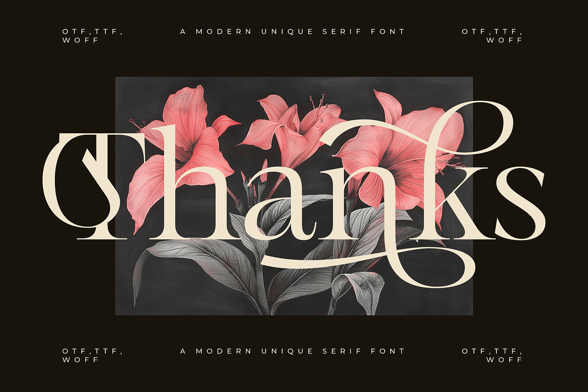 Mevara - Elegant Serif with Flourish, a Serif Font by Glyphofik x GudPap (Photo 15 of 15)