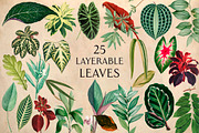25 Vintage Leaves, an Object Graphic by The Object Atlas (Thumbnail 2 of 5)