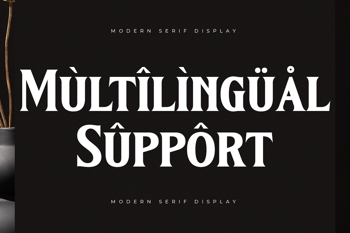 Kingtron Modern Serif Display, a Serif Font by Letterena Studios (Photo 11 of 15)