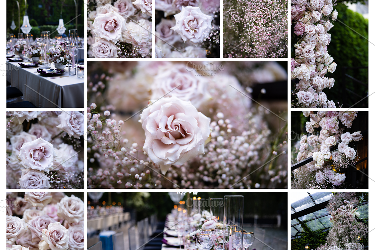 A Garden of Roses | Wedding, Events, a Nature Photo by Farewell (Photo 1 of 41)