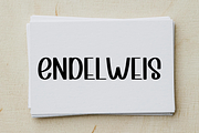 Barney, a Serif Font by FreshTypeINK (Thumbnail 6 of 7)