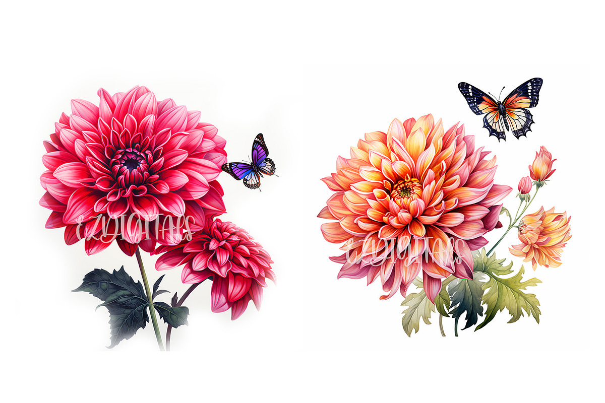 Dahlia Flower and Butterfly Clipart, an Object Graphic by EzDigitals (Photo 7 of 8)