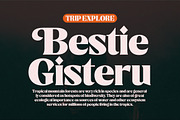 Catiler, a Sans Serif Font by Gatype (Thumbnail 6 of 10)
