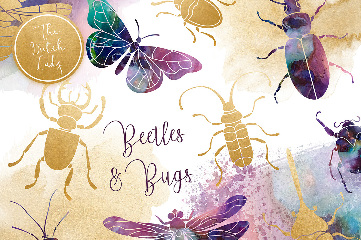 Beetles & Bugs Clipart Set, an Animal Illustration by The Dutch Lady Designs (Photo 1 of 6)