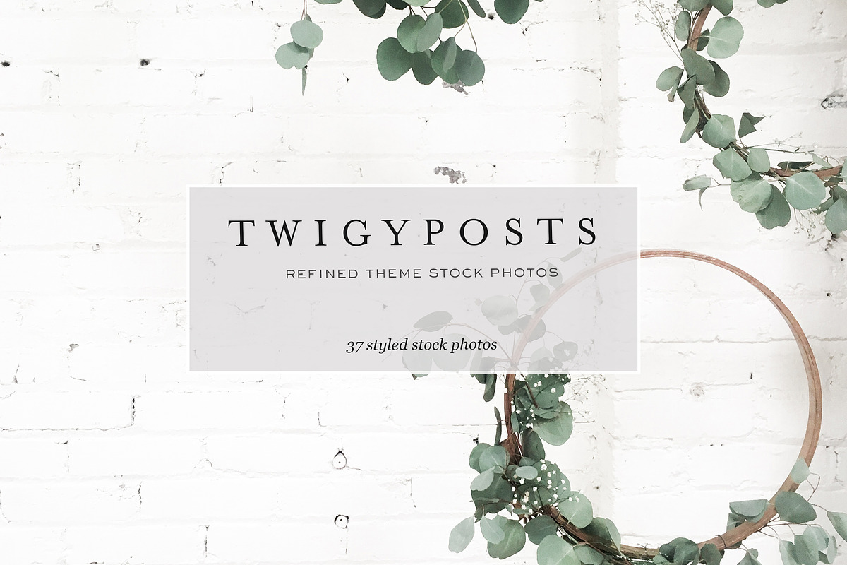 Stock Photos for Wordpress Themes, a Websites & App Template by JanaBishopCollection (Photo 2 of 9)