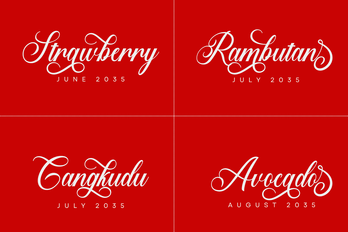 Bridgestown Script Font, a Script Font by Basnistudio (Photo 4 of 9)