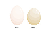 Different birds egg set, a Food Illustration by Good Studio (Thumbnail 5 of 5)
