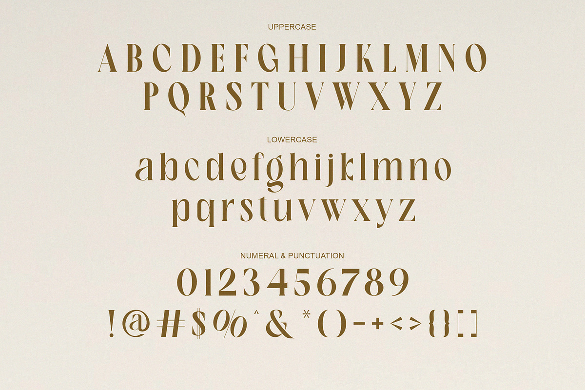 Halind Modern Elegant Serif, a Serif Font by Alfinart (Photo 7 of 10)
